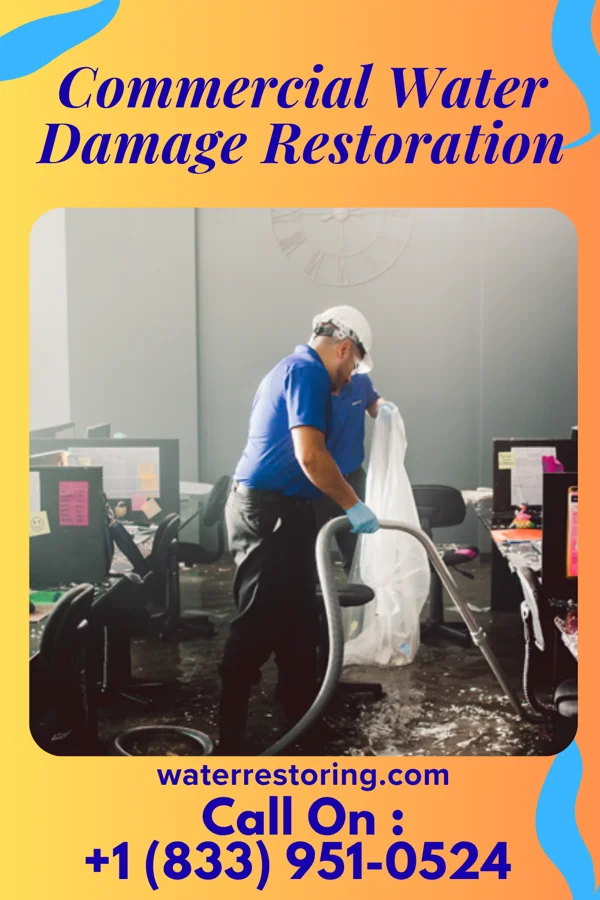 Commercial Water Damage Restoration in Harris Hill, NY