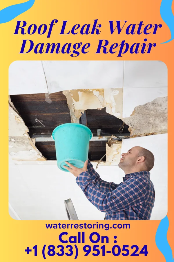 Roof Leak Water Damage Repair in Harris Hill, NY