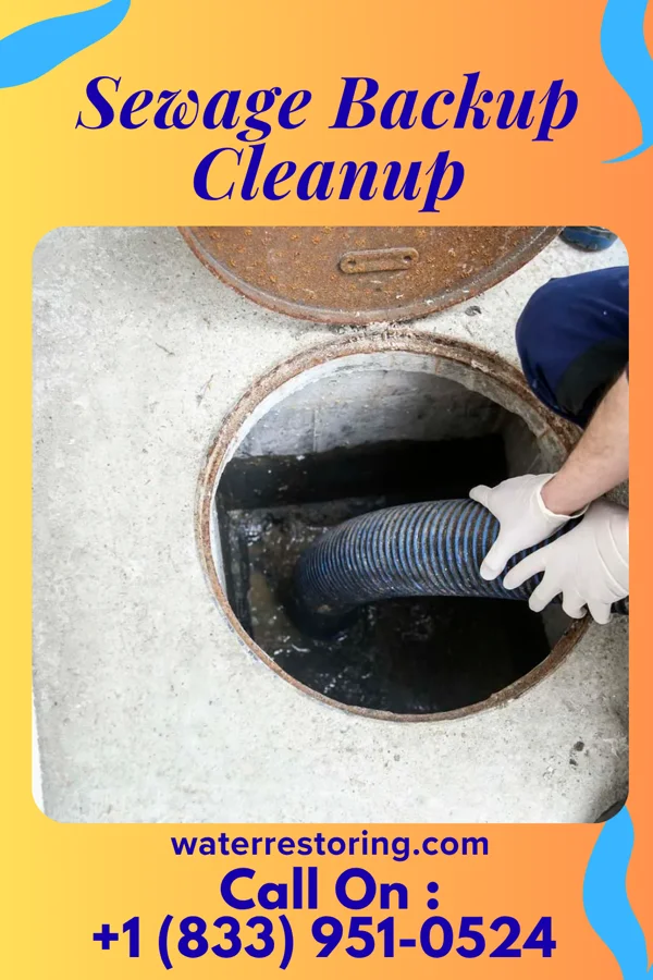 Sewage Backup Cleanup in Harris Hill, NY