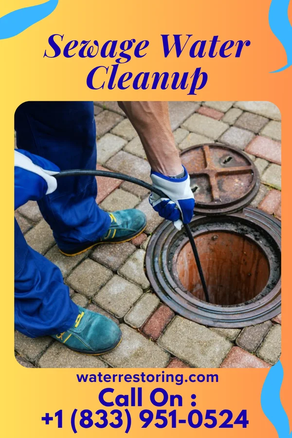 Sewage Water Cleanup in Harris Hill, NY
