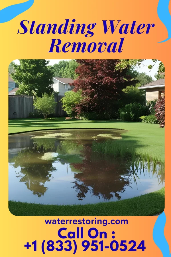 Standing Water Removal in Harris Hill, NY